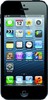 Apple iPhone 5 16GB - Пермь